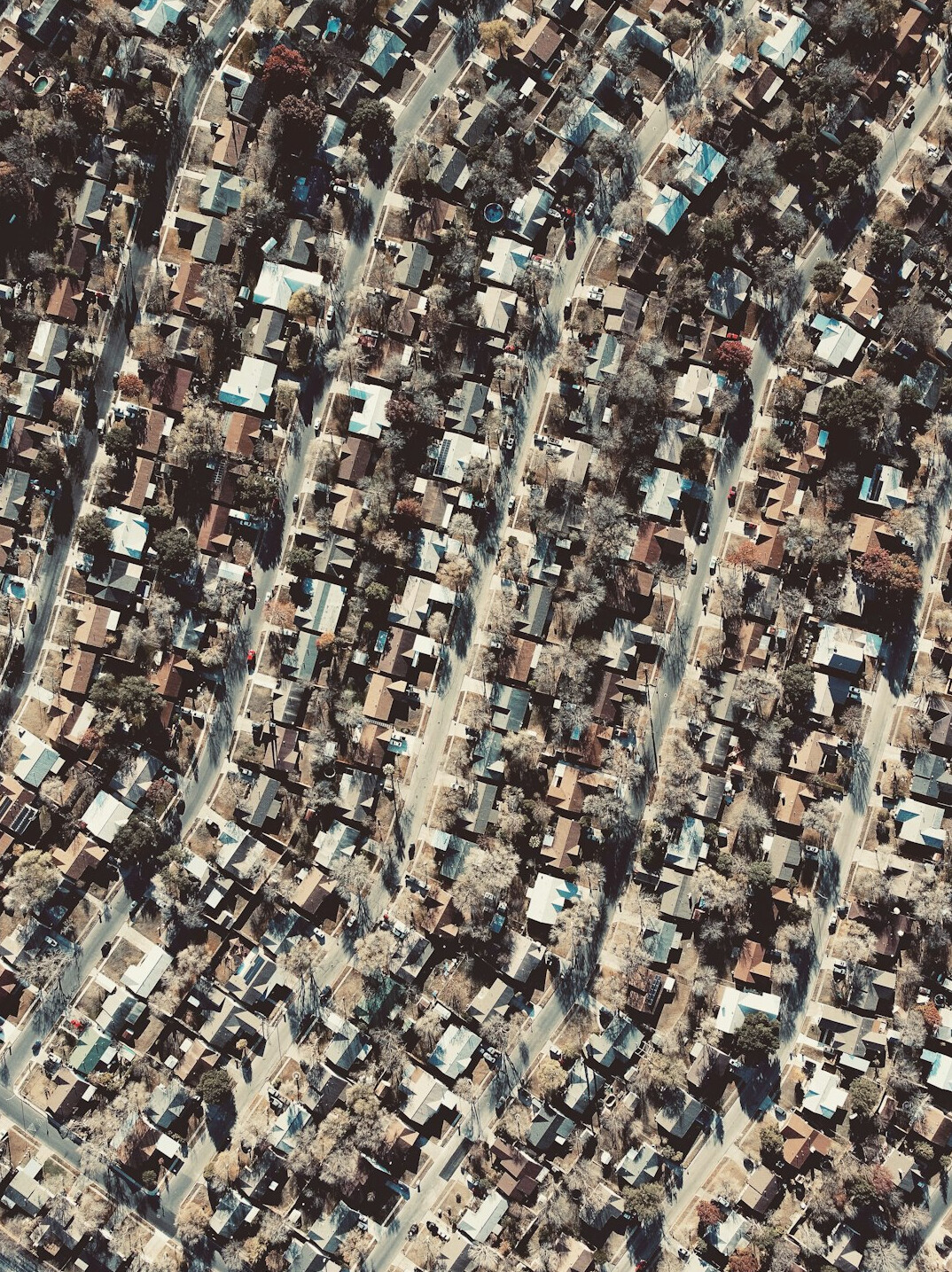 forgotten neighborhood overview