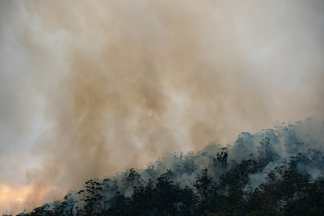forest fire amazon